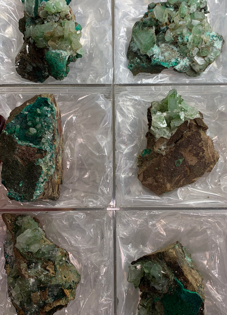 Rare ! Barite with Chrysocolla and Malachite Lot - From Congo - 6 Pieces !