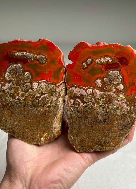 Wow ! Black Sea Agate Pair*