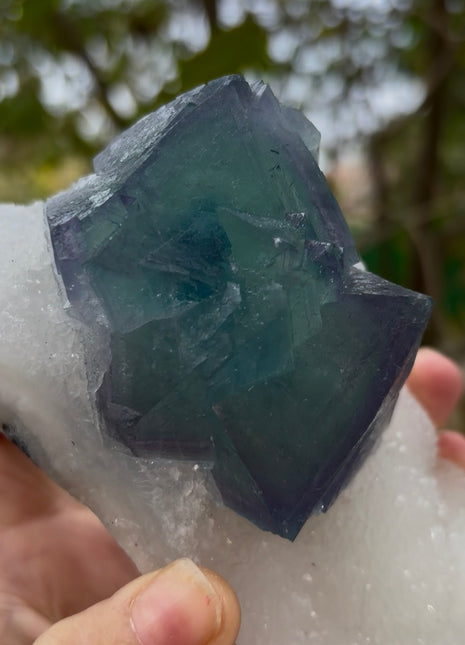 Octahedral Fluorite with Quartz Collection # 631