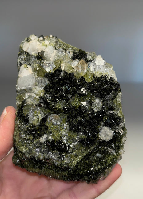 Extra Dark Forest Epidote with Quartz