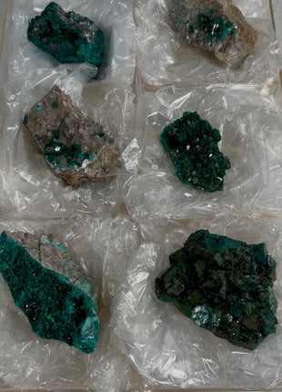 6 Pieces ! Green Dioptase Lot