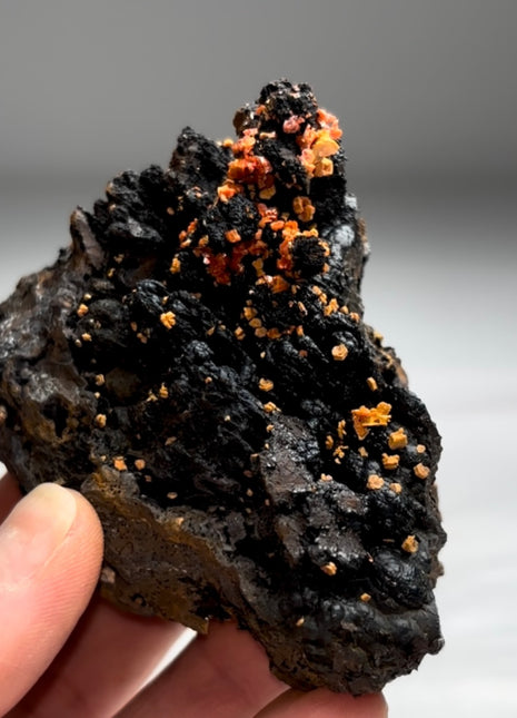 New Arrival ! Black Goethite with Red Vanadinite