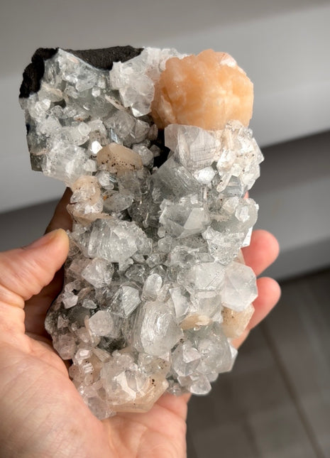 Brilliant Apophyllite with Pink Stilbite PM0739
