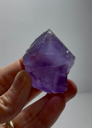 Deep Purple Core Fluorite - From Berbes