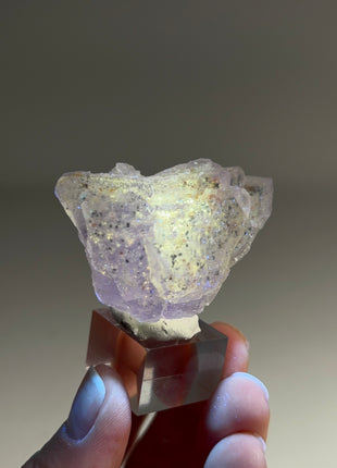 New Arrival ! Galaxy Fluorite