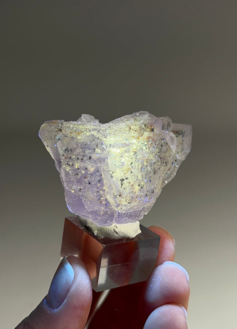 New Arrival ! Galaxy Fluorite