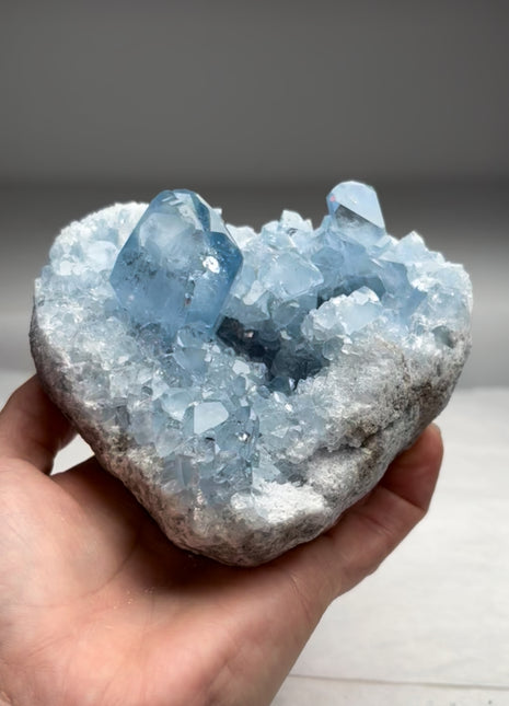 Gem 💎 Sky Blue Celestite Geode