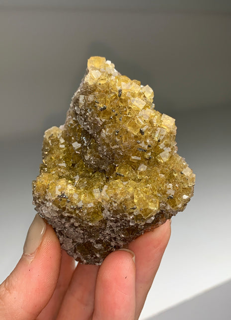 Cubic Yellow Fluorite with Pyrite - From Spain