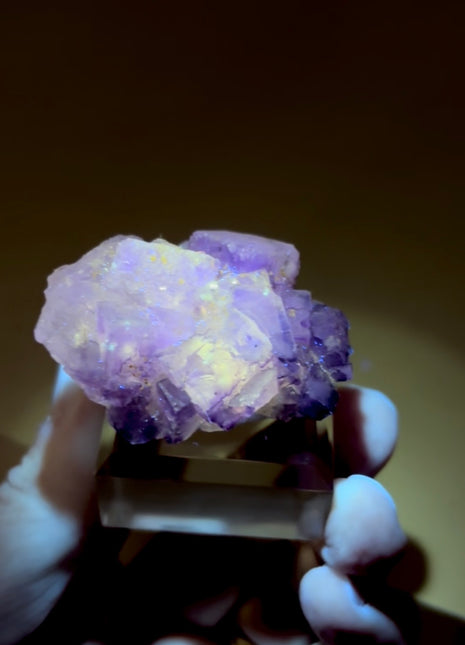 New Arrival ! Galaxy Fluorite