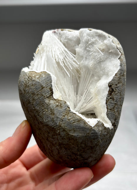 Scolecite Flower Geode with Druzy Quartz