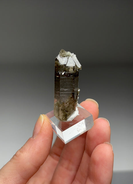 Smoky Quartz - From Chamonix, French Alps