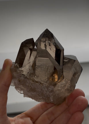 Smoky Quartz from Mont Blanc PM0984