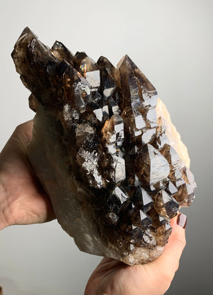 Incredible Elestial Smoky Quartz on White Quartz - 3.5 kgs, From Namibia 🩶🩶