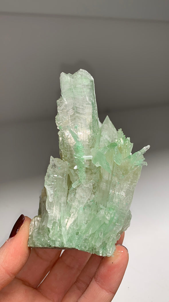 Green Gypsum var Selenite - From Lubin mine, Poland