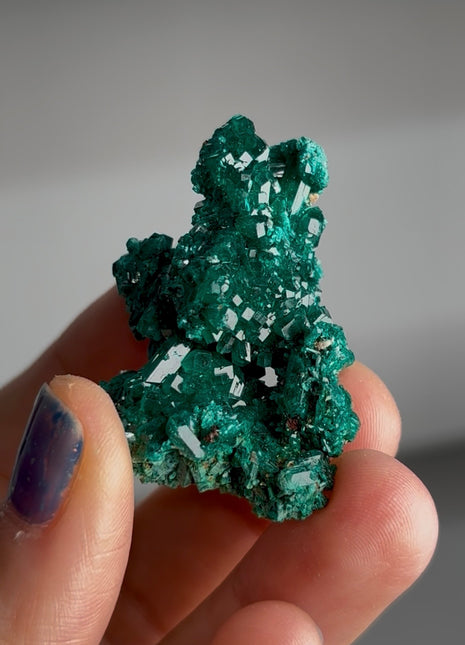 Green Dioptase Specimen PM1635