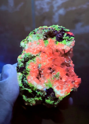 UV Watermelon Calcite Specimen from Argentina
