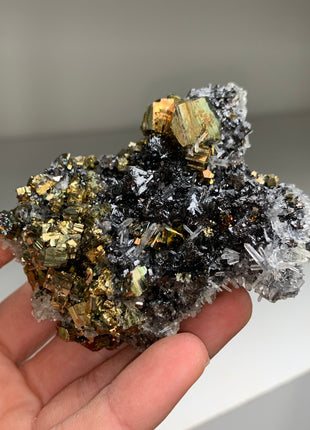 Pyrite, Rainbow Pyrite with Lustrous Sphalerite - Borieva mine, Rhodope Mtns