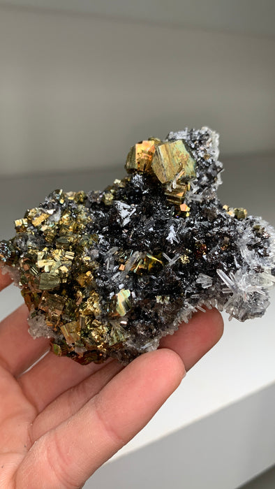 Pyrite, Rainbow Pyrite with Lustrous Sphalerite - Borieva mine, Rhodope Mtns