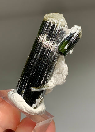 Bicolor Tourmaline with Cleavelandite - 56.4 Carats DWS