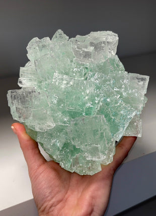 Amazing ! Gemmy Cubic Halite Specimen