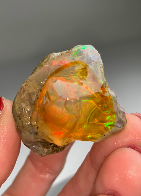 Very High Grade We'lo Opal # PM0188