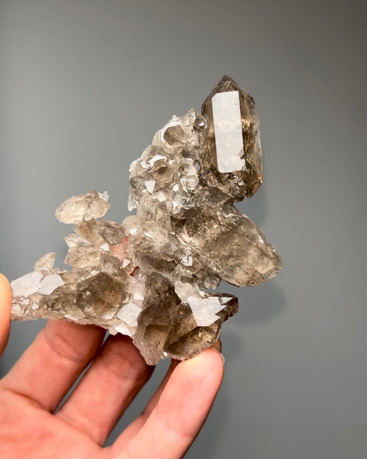Quartz – Pacific Minerals Shop