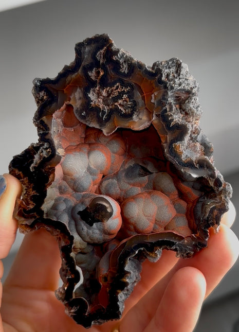 Silvery ! Red Fox Agate Geode from Argentina PM1542