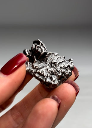 Campo del Cielo Meteorite