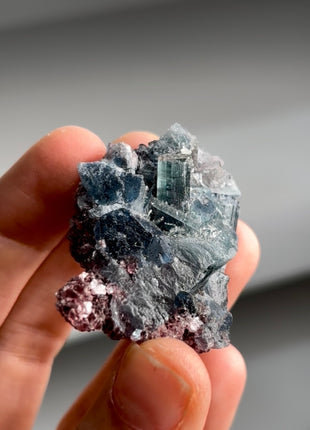 Blue Tourmaline with Lepidolite from Cruzerio, Brazil