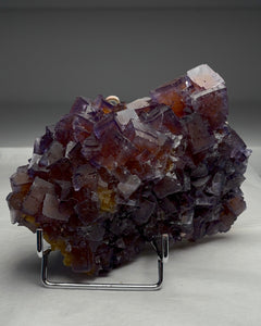 Collection image for: Our Finest