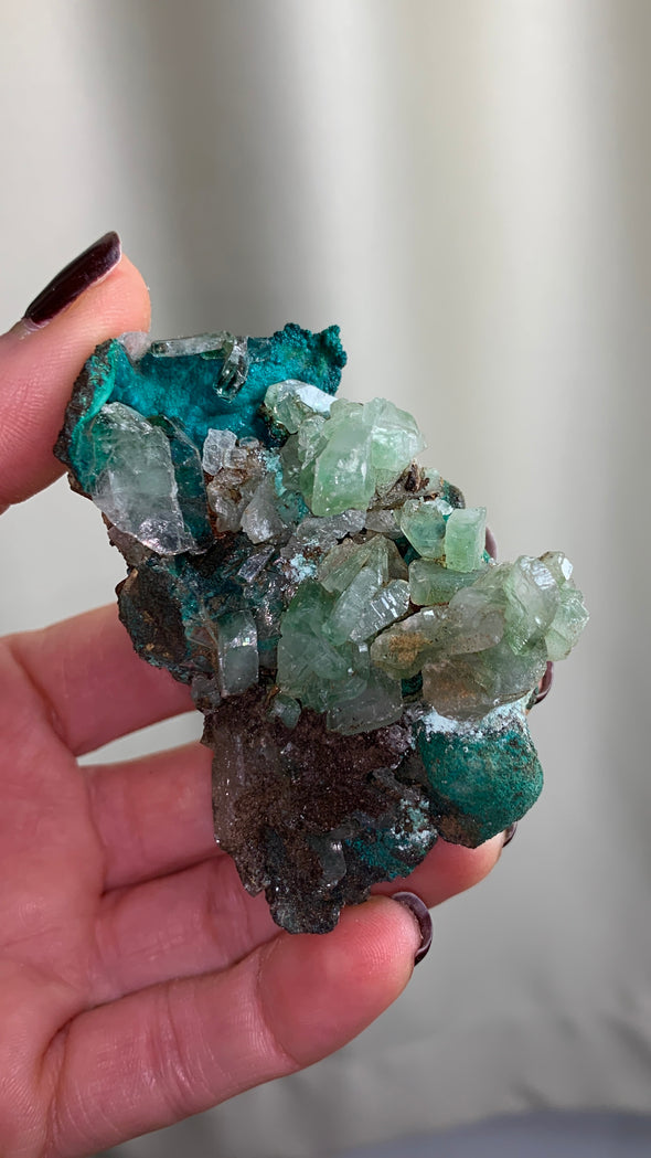Rare ! Barite with Chrysocolla and Malachite Lot - From Congo - 6 Pieces !