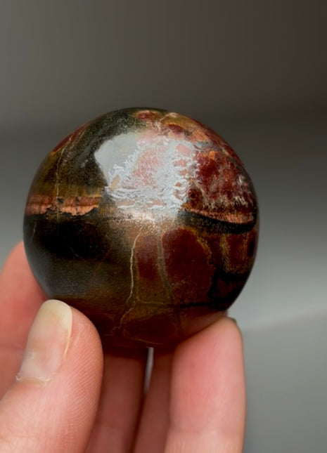 Marra Mamba Tiger’s Eye Sphere from Australia