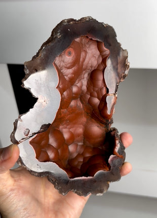 Red Fox Agate Geode from Argentina PM0829