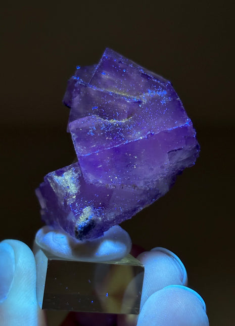 New ! Galaxy Fluorite