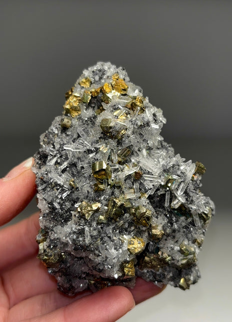 High Grade Pyrite with Quartz