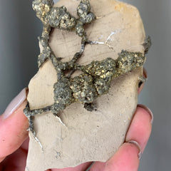 Collection image for: Pyrite on Matrix