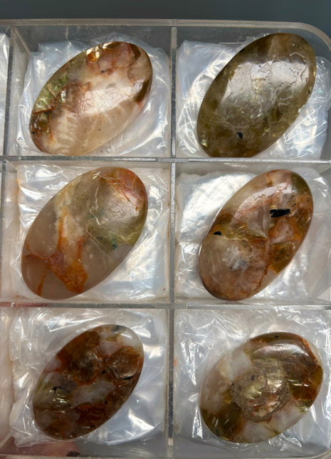 6 Piece Lot ! Golden Red Mica with Quartz