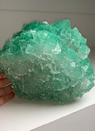 Our Finest ! Green Cubic Halite - From Lubin mine, Poland