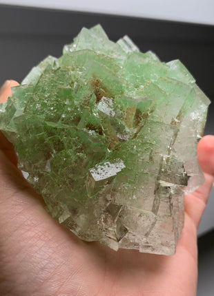 Rare Bicolor Transparent Green Halite - From Lubin mine, Poland