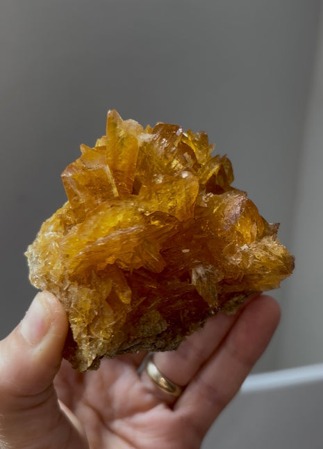 Golden Honey Selenite from Peru 💎 PM0391