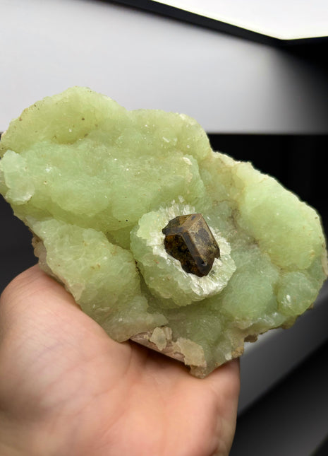 Andradite Garnet perching through Green Prehnite  Collection  # 286