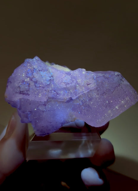 New Arrival ! Galaxy Fluorite