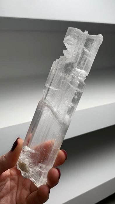Selenite with Great Transparency From Mexico
