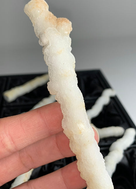 New ! White Coral Chalcedony Stalactite Lot - 6 pieces !