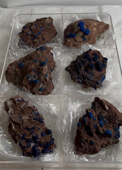 6 Piece Lot ! Rare Blueberry Azurite Specimens