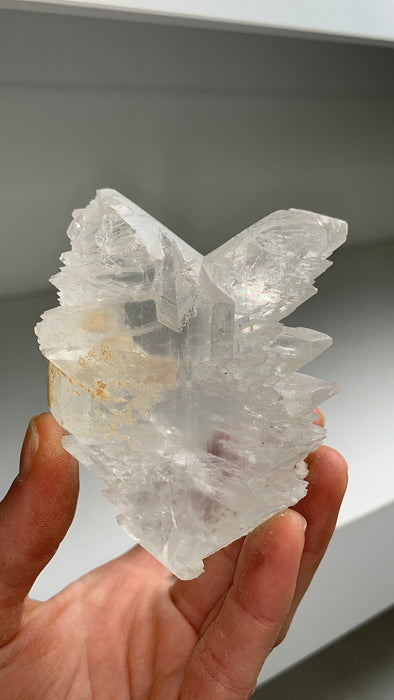 Fishtail Selenite From Mexico