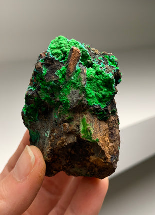 Vibrant Green Conichalcite ! From Spain