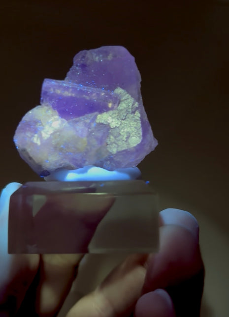 New Arrival ! Galaxy Fluorite