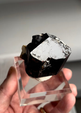 Black Tourmaline - From Erongo, Namibia