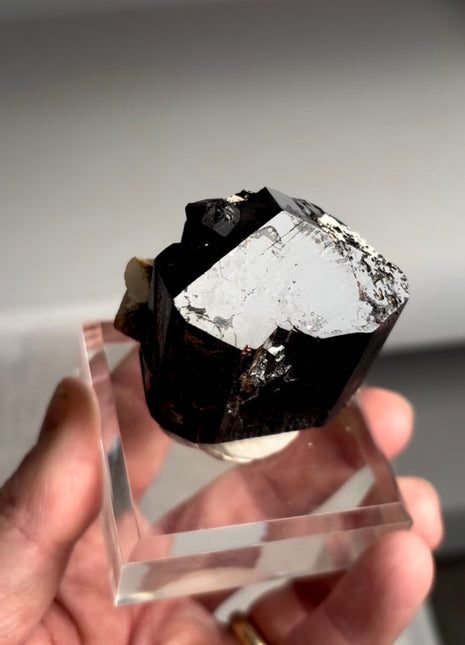 Black Tourmaline - From Erongo, Namibia